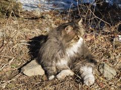 -北京西山国家森林公园