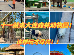 -大连森林动物园