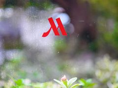 -上海宝华万豪酒店