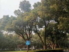-浙江大学(玉泉校区)
