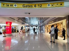 -约翰·菲茨杰拉德·肯尼迪国际机场