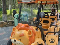 -北京野生动物园