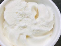 椰子雪糕-洪馨椰子