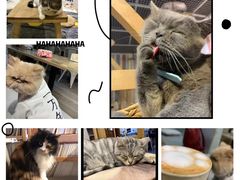 -小时光咖啡馆(开森度假森林店)