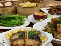 -富豪酒家(正大广场店)