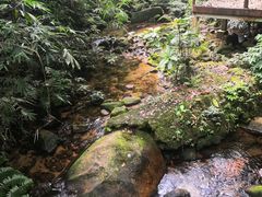 -海南热带雨林国家公园吊罗山景区