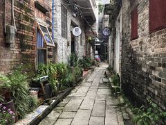 -小洲村