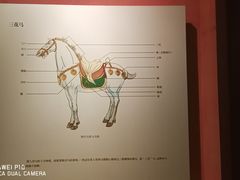 -西安大唐西市博物馆