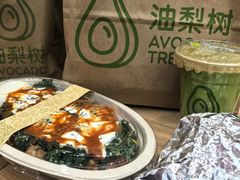 -油梨树AVOCADO TREE(望京店)