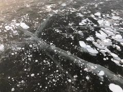 -人民防洪胜利纪念塔