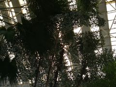 -龙脉温泉室内游泳馆