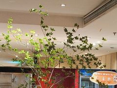 -眉州东坡(民族园店)