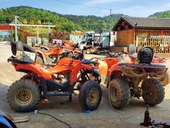 -铁山坪森林公园