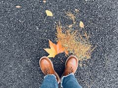 -苏州河梦清园环保主题公园