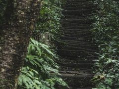 -青城山