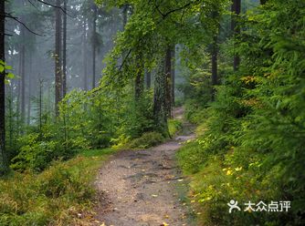 乘船在太湖里游览,只见湖边冈峦起伏的洞庭山上