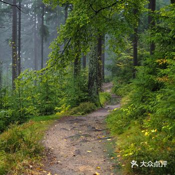 乘船在太湖里游览，只见湖边冈峦起伏的洞庭山上