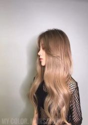 点击看大图 -MYCOLORHARSALON