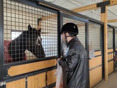 -北京群众马术培训基地