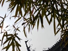 -红梅公园
