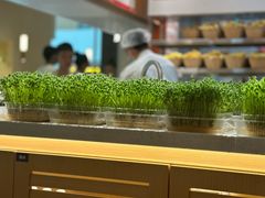 -好彩猪肚鸡(正弘城店)