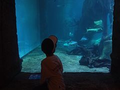 -华夏文旅海洋公园