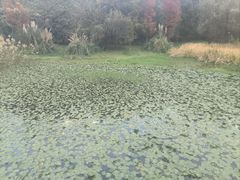 -贵阳市花溪国家城市湿地公园