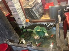 -金杨拉面王小吃面馆·牛三宝面·红烧牛肉粉