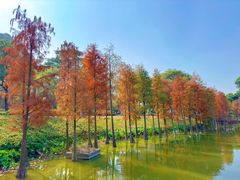 -顺峰山公园