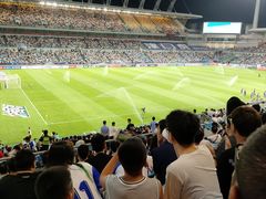 -泰达足球场