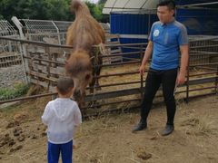 -大连凯洋马术俱乐部有限公司