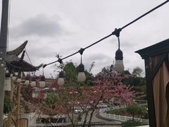 -正宗火盆自助烧烤·烤全羊·柴火鸡(龙泉山店)