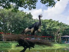 -广州长隆飞鸟乐园