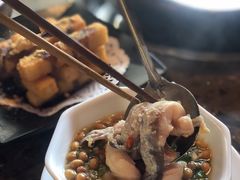 江团-鲜椒鱼·雅安地标性美食