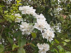 -仙海旅游度假区