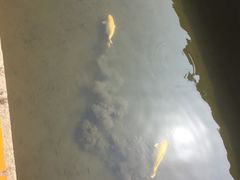 -珠海圆明新园