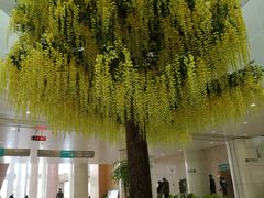 -南方医科大学深圳医院