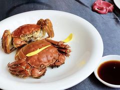 清蒸大闸蟹-蟹榭·本帮江浙菜·蟹宴(五角场合生汇商场店)