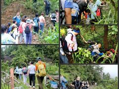 -青芝山风景名胜区