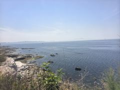 -养马岛旅游度假区