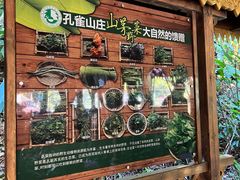-西双版纳原始森林公园