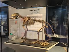 -北京周口店北京人遗址博物馆