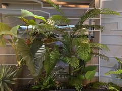 -湊湊火锅·茶憩(皇姑万象汇店)