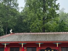 -黔灵山公园