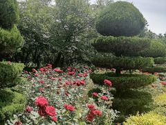 -洛阳市隋唐城遗址植物园