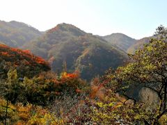 -沣峪口