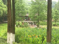 -重庆彩云湖湿地公园
