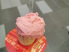 -野人先生现做冰淇淋(西安赛格店)
