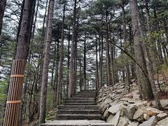 -黄山风景区