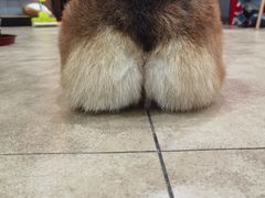 -汪说·狗咖(旺城大厦店)